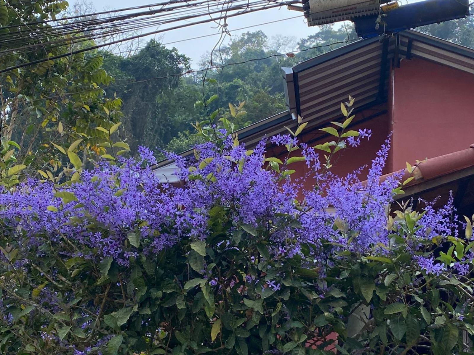 Pousada Villa Provence Petropolis (Rio de Janeiro) Exterior foto